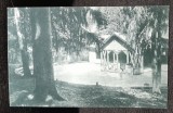 Carte postala, Borsec, Fantana Miron, perioada interbelica