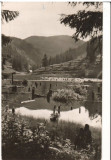 CPIB 15979 CARTE POSTALA - VEDERE DE LA LACUL ROSU, RPR, Circulata, Fotografie