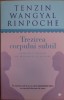 Tenzin Wangyal Rinpoche - Trezirea corpului subtil