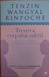 Tenzin Wangyal Rinpoche - Trezirea corpului subtil