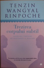 Tenzin Wangyal Rinpoche - Trezirea corpului subtil
