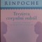 Tenzin Wangyal Rinpoche - Trezirea corpului subtil