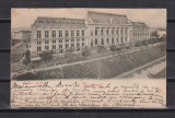 BUCURESTI 1911 CIRCULATA STARE F. BUNA, Fotografie