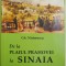 De la Plaiul Prahovei la Sinaia. Istorie si contemporaneitate &ndash; Gh. Nistorescu