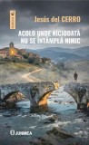 Carti: Acolo unde niciodată nu se &icirc;nt&acirc;mplă nimic - Roman Brosat - Junimea