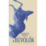 A bűv&ouml;lők - Voloncs Attila