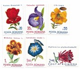 Romania (678) - Flori din gradini botanice, 1971 - serie neobliterata