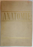 ANATOMIE , ANGIOLOGIA , GLANDELE ENDOCRINE , SISTEMUL NERVOS SI ORGANELE DE SIMT , 1966