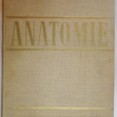 ANATOMIE , ANGIOLOGIA , GLANDELE ENDOCRINE , SISTEMUL NERVOS SI ORGANELE DE SIMT , 1966