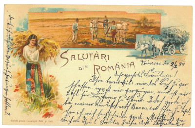 2541 - ETHNIC, Country Life, Litho, Romania - old postcard - used - 1899 foto