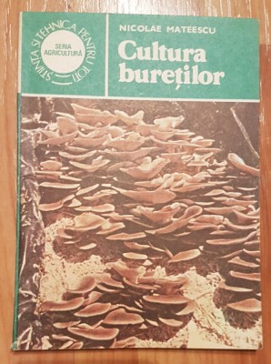 Cultura buretilor de Nicolae Mateescu foto