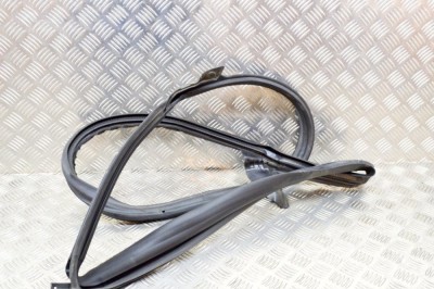 Garnitura ușă dreapta spate TESLA MODEL 3 2018 OEM: 1090510-99-E | 12151548 foto
