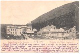 SV * Salutari din Slanic (Moldova) * CASINO REGAL si (H)OTEL RCOVITZA * 1902, Circulata, Printata, Bacau