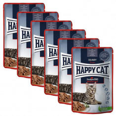 Happy Cat CARNE DE CARNE ÎN SAUCE Culinar Voralpen-Rind / Carne de vită, 6 x 85 g