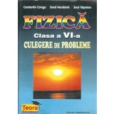 Fizica, clasa a VI-a. Culegere de probleme - Constantin Corega