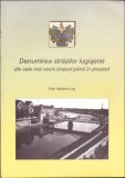 HST Denumirea străzilor lugojene din cele mai vechi timpuri p&acirc;nă &icirc;n prezent