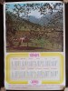 NI361 Calendar de perete ADAS 1981