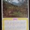 NI361 Calendar de perete ADAS 1981