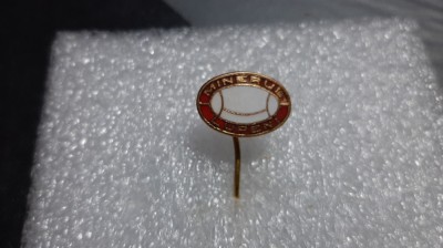 insigna Minerul Lupeni foto