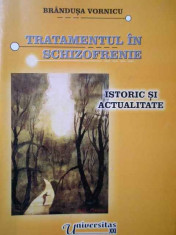 Tratamentul In Schizofrenie Istoric Si Actualitate - Barndusa Vornicu ,284330 foto
