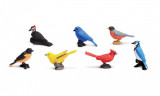Tub cu figurine - Backyards Birds | Safari