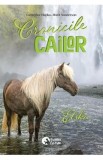 Elska. Seria Cronicile cailor Vol.1 - Catherine Hapka