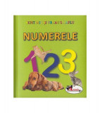 Numerele. Sunt mic și vreau să aflu - ***