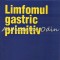 Limfomul Gastric Primitiv - Catalin Vasilescu