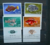 SERIE ISRAEL PESTI