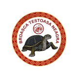 Cumpara ieftin Abtibild sticker cu Testoasa Neagra &amp;#8211; cele 4 animale celeste &amp;#8211; mic
