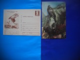 HOPCT LOT NR 378 RAPITOARE PASARI -2 CARTI POSTALE-NECIRCULATE