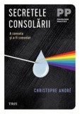 Secretele consolarii. A consola si a fi consolat/Christophe Andre