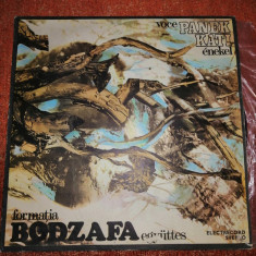 Bodzafa Panek Kati Magyarozdi Nepzene Electrecord ST EPE 02577 vinil vinyl