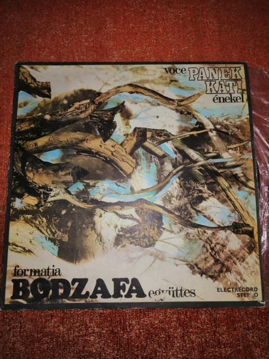 Bodzafa Panek Kati Magyarozdi Nepzene Electrecord ST EPE 02577 vinil vinyl