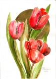 E98. Tablou original, Lalele rosii pe soare auriu, acuarela, neinramat, 21x29 cm, Flori, Realism, RavariuArt