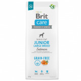 Brit Care Dog Grain-free Junior Large Breed 12 kg