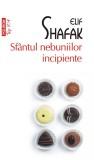 Cumpara ieftin Sfintul Nebuniilor Incipiente (Top 10), Elif Shafak - Editura Polirom
