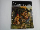 MANTEGNA - Alexandru BALACI