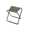 Scaun Pliant Camping Delphin BX C2G XXL, 35x35x45cm, Portabil, Verde, Outdoor