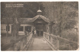 SV * Brasov * BAILE ZIZIN * IZVORUL FERDINAND * 1926, Circulata, Fotografie, Printata, Sacele