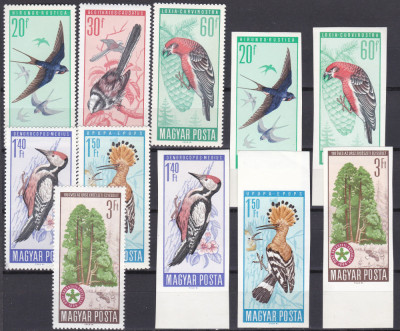 DB1 Fauna Pasari Ungaria 1966 DT + NDT ( lipsa val. 30 f. ) MNH foto