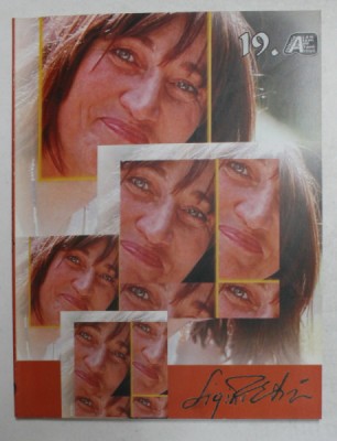 LIGIA PODOREAN - EKSTROM , COLECTIA ARTISTI CONTEMPORANI , NR. 19 , 2004 foto