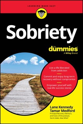 Sobriety for Dummies foto