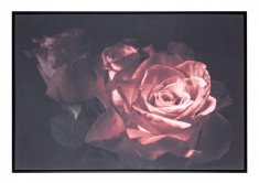 Tablou canvas abstract Roses 82.6 cm x 4.3 cm x 122.6 h Elegant DecoLux foto