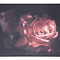 Tablou canvas abstract Roses 82.6 cm x 4.3 cm x 122.6 h Elegant DecoLux