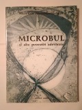 Hortensia Masichievici-Mișu - Microbul și alte povestiri adevărate