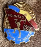 QW9 N9 45 - Insigna - tematica comunism - Fruntas in munca patriotica