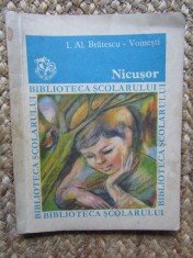 I. AL. BRATESCU-VOINESTI - Nicusor foto