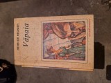Văpaia vintage