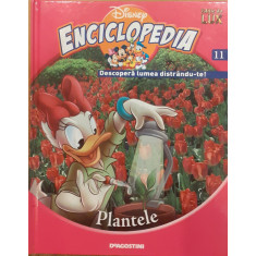 Plantele Disney Enciclopedia 11